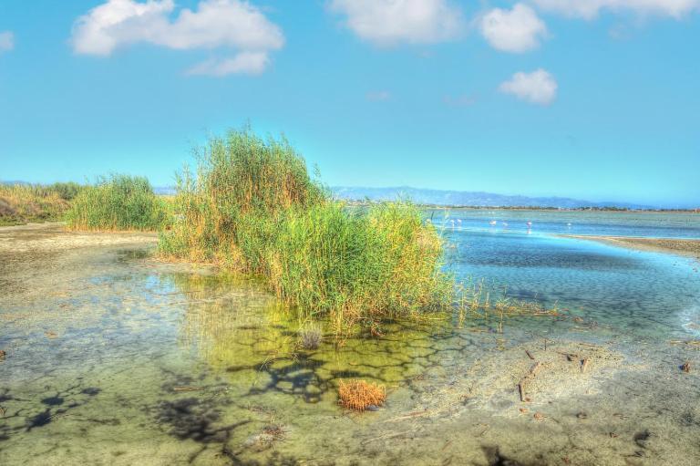 Zen Beach Home Quartu SantʼElena Dış mekan fotoğraf